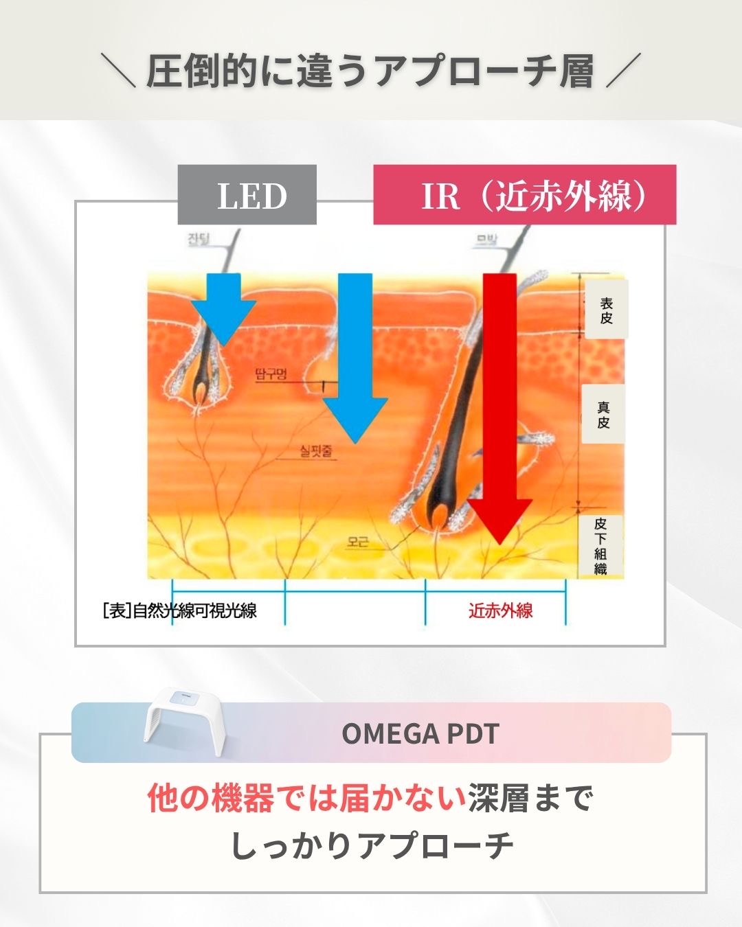 LEDは毛母細胞を刺激して育毛、発毛を促進