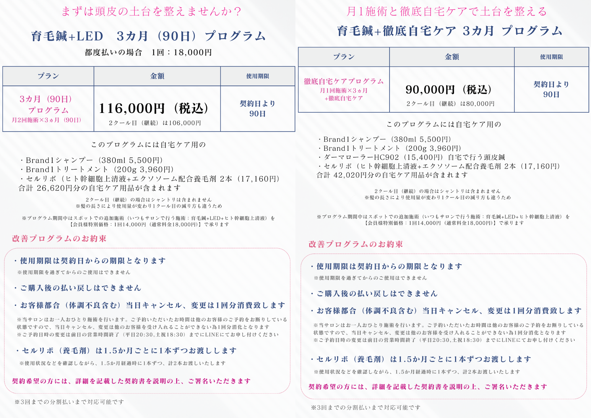 やなけん亀戸店の育毛鍼について