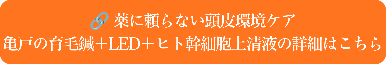 亀戸の薄毛、抜け毛を改善する育毛鍼